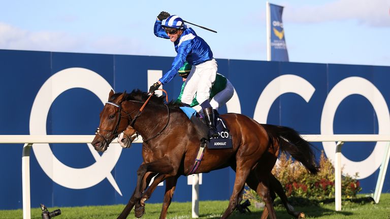 Anmaat ridden Jim Crowley by wins the Qipco Champion Stakes during QIPCO British Champions Day at Ascot