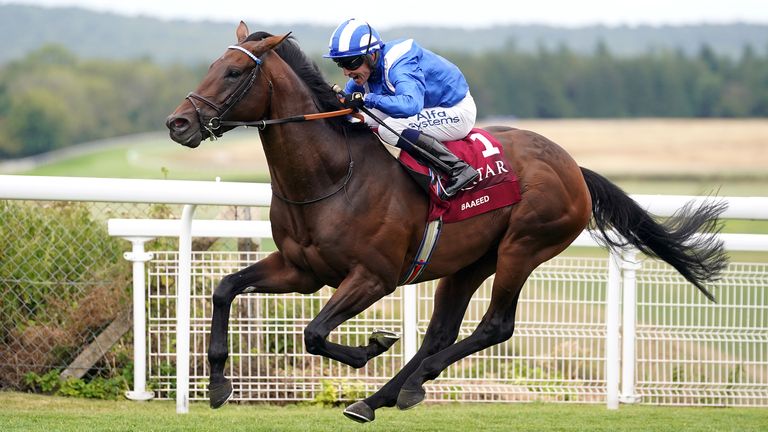 Baaeed - whose brother makes his racetrack debut this afternoon.