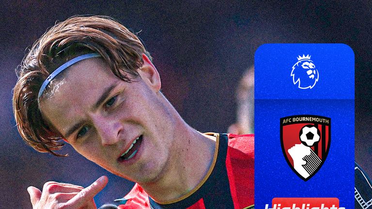 Vertical highlights.