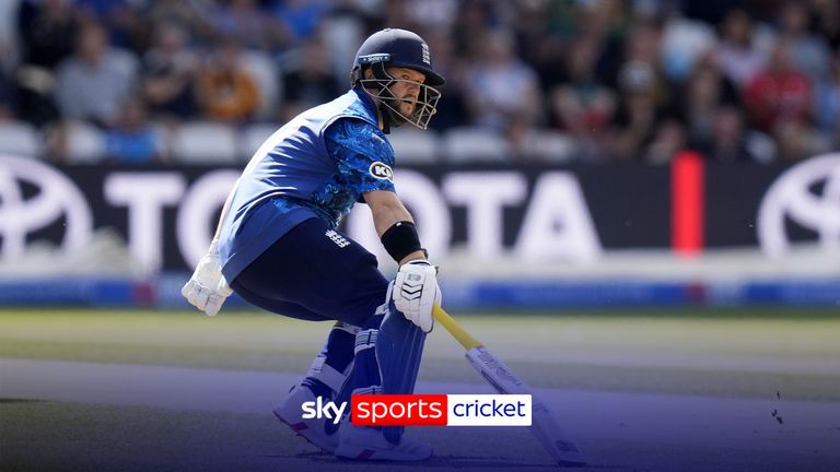 cricket