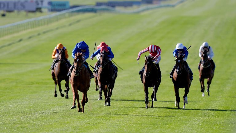 Distant Storm won the Tattersalls Stakes