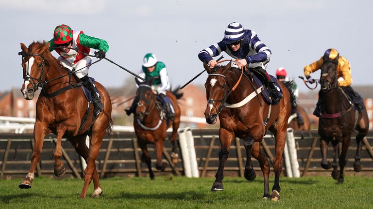 Doyen Quest (left) returns to action this afternoon
