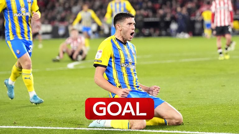 Ross Stewart's sensational strike saw Southampton hit back from 1-0 down to lead.