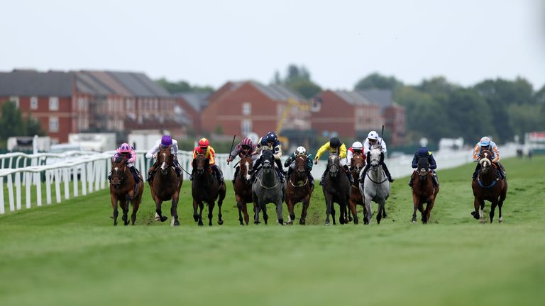 Newbury hosts a stellar card on Friday