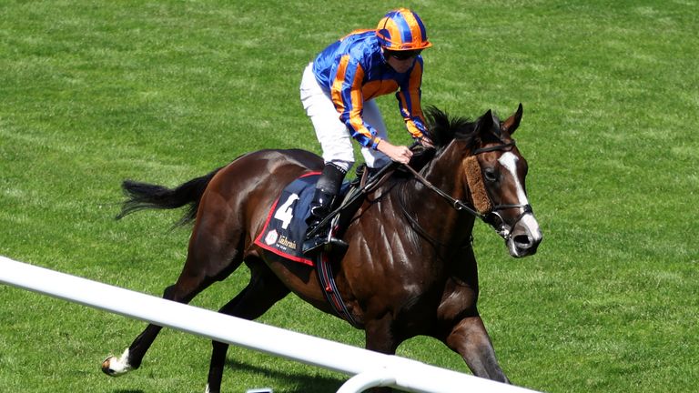 Scandinavia heads the market for the 2025 Betfred St Leger Stakes