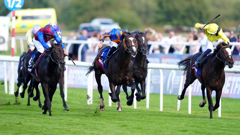 Rahiebb (yellow) rattles home but can't get to Scandinavia in the St Leger