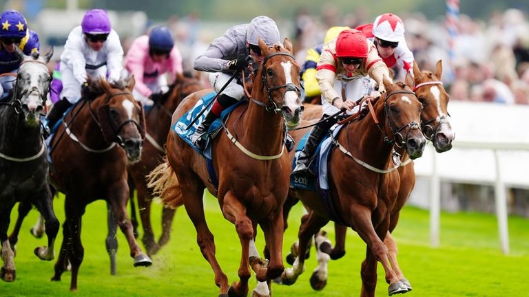 Thunder Run (centre) is Kate Tracey's fancy for the Cambridgeshire