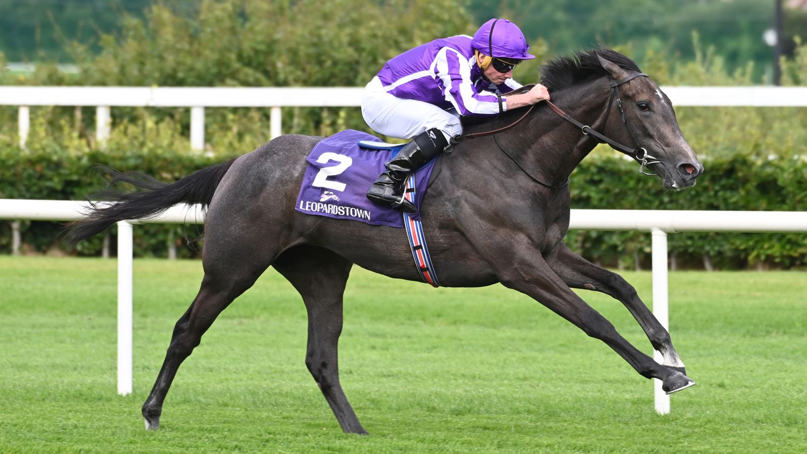 Today on Sky Sports Racing: Top level International action accompanies Ascot card