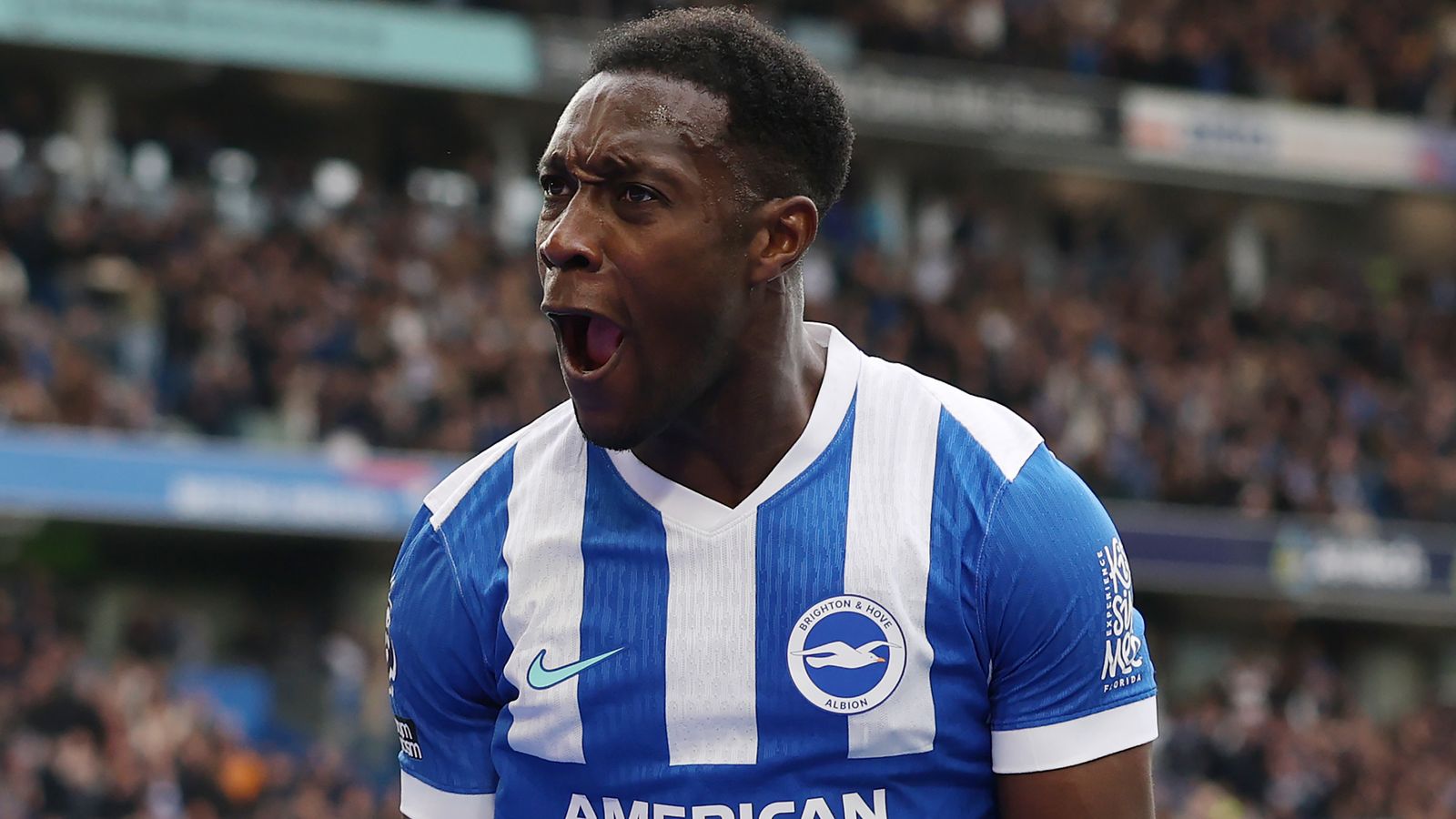 Brighton 2-1 Newcastle: Danny Welbeck's double inspires Seagulls