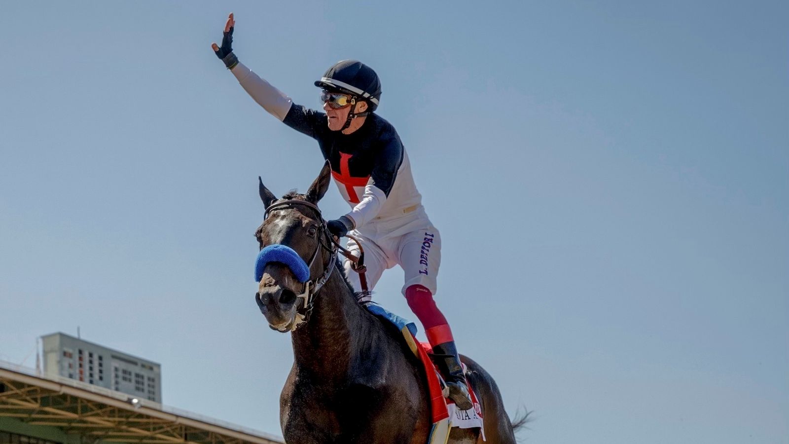 Dettori to bow out in America after Breeders' Cup