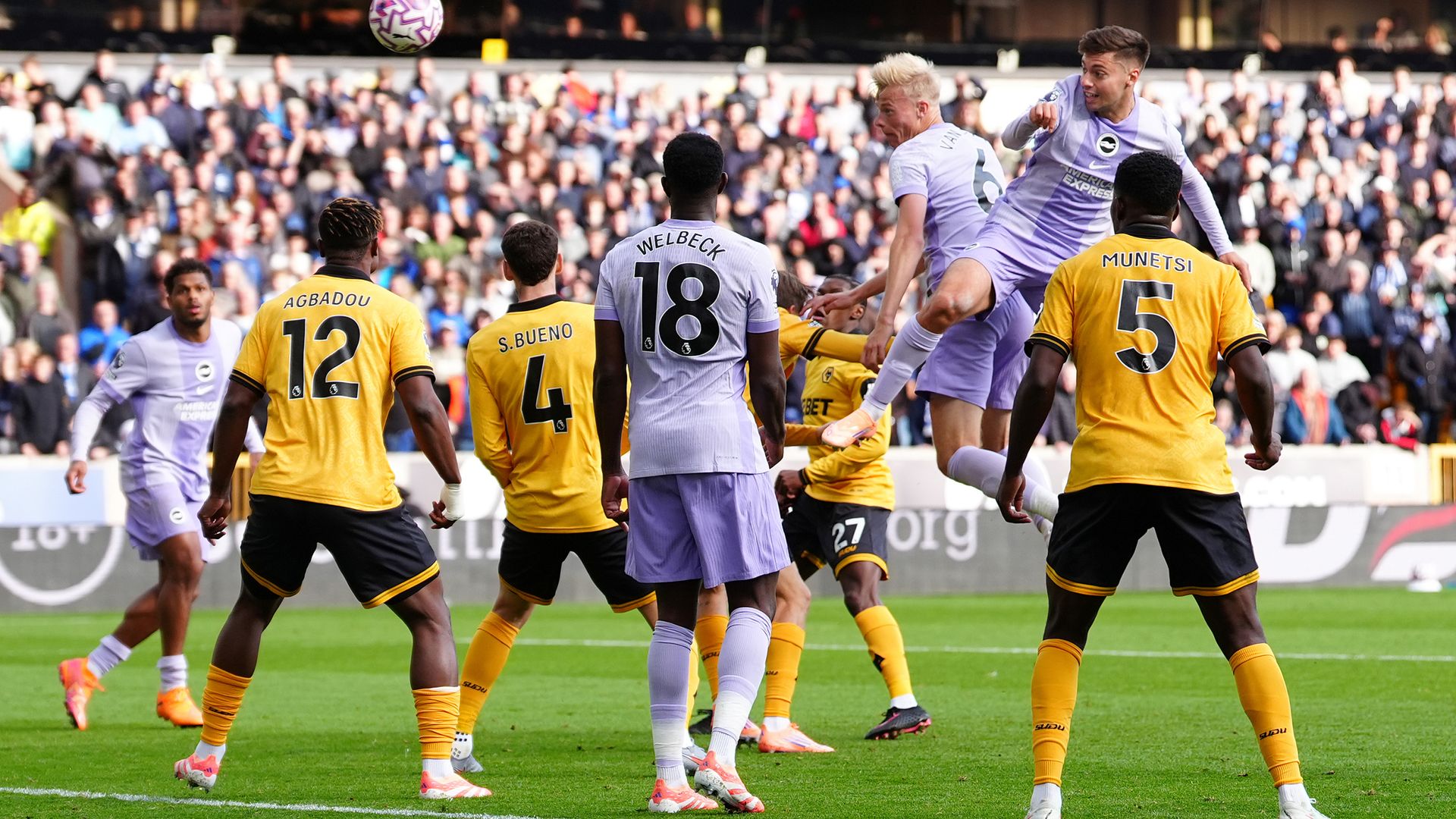 Van Hecke late leveller for Brighton leaves Wolves still without a win