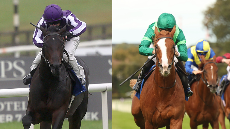 Benvenuto Cellini and Hawk Mountain are set to clash in the Futurity Trophy