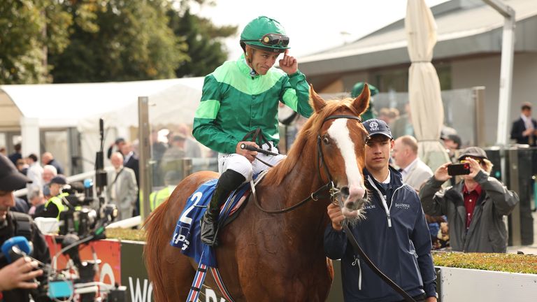 Benvenuto Cellini will go to post for the Futurity
