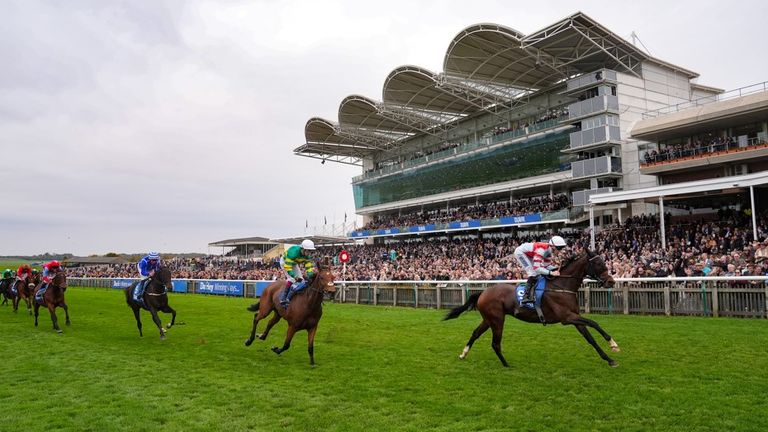 Beylerbeyi was too good in the Cesarewitch
