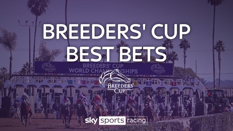 Breeders' Cup best bets