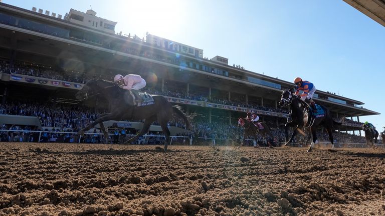 Sierra Leone (left) won the 2024 Breeders' Cup Classic (AP Photo/Gregory Bull)