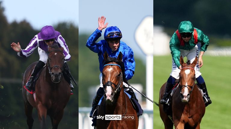 Delacroix, Ombudsman and Calandagan (left to right) are set to meet in the QIPCO Champion Stakes at Ascot