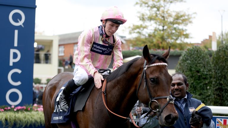 Cicero's Gift defied odds of 100/1 at Ascot