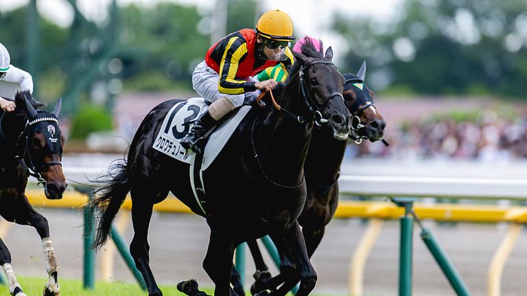 Croix du Nord (13) wins the Tokyo Yushun (Japanese Derby) (Grade 1) at Tokyo Racecourse, Tokyo, Japan on June 1, 2025. Kaz Ishida