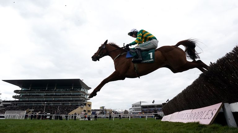 Dinoblue won the Mares' Chase last term