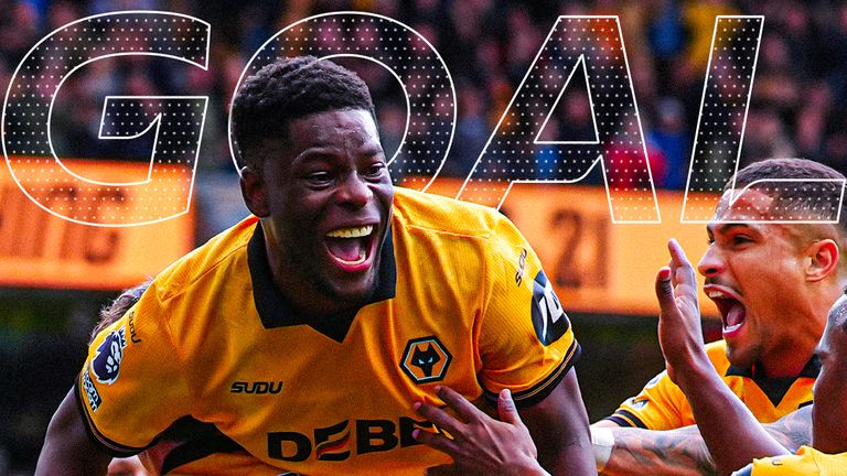 Wolves goal