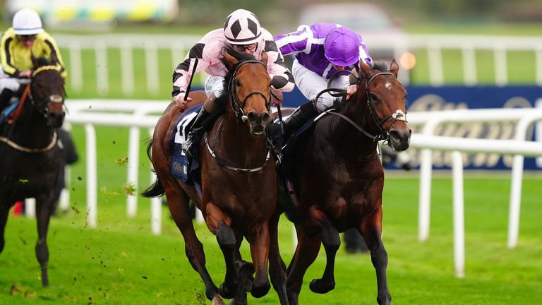 Hotazhell won the Futurity Trophy in 2024