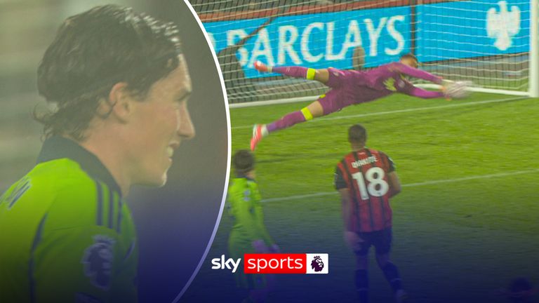 Djordje Petrovic denies Harry Wilson