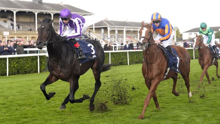 Hawk Mountain, ridden by Ronan Whelan (left), on their way to winning the William Hill Futurity Trophy Stakes at Doncaster
