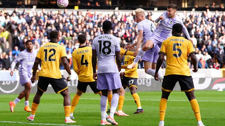 Jan Paul van Hecke grabbed an equaliser for Brighton against Wolves