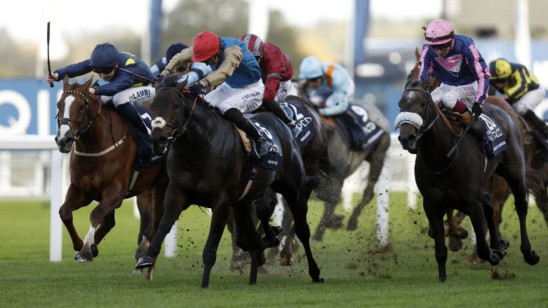 Kind Of Blue won the Champion Sprint last term