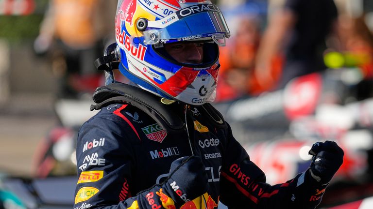 white havaianas mens