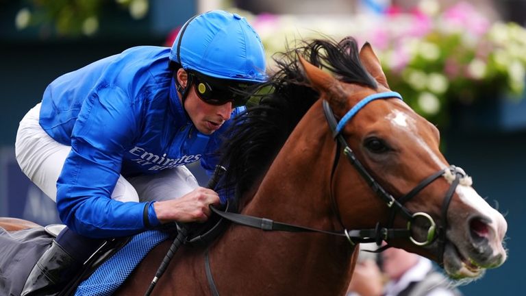 Ombudsman takes on Delacroix in the Champion Stakes on Saturday