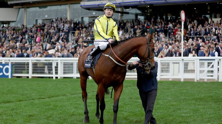 Powerful Glory won the Champions Sprint