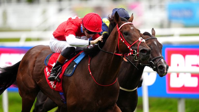 Rogue Diplomat returns to the track this afternoon.