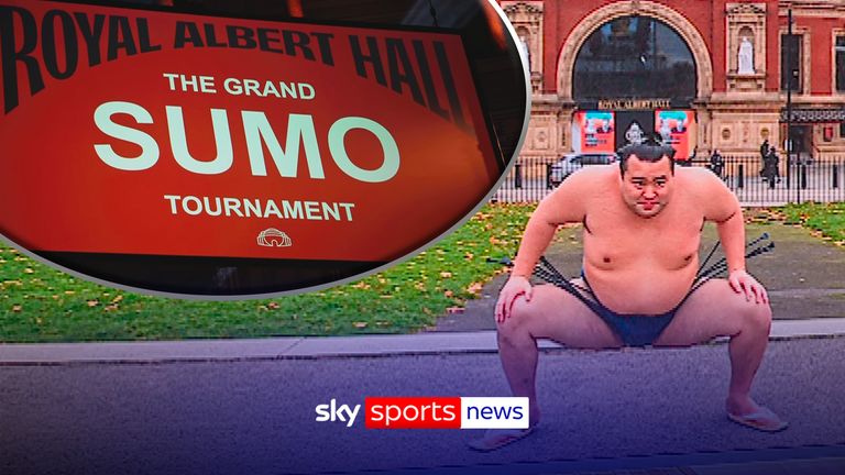 Sumo returns to Royal Albert Hall