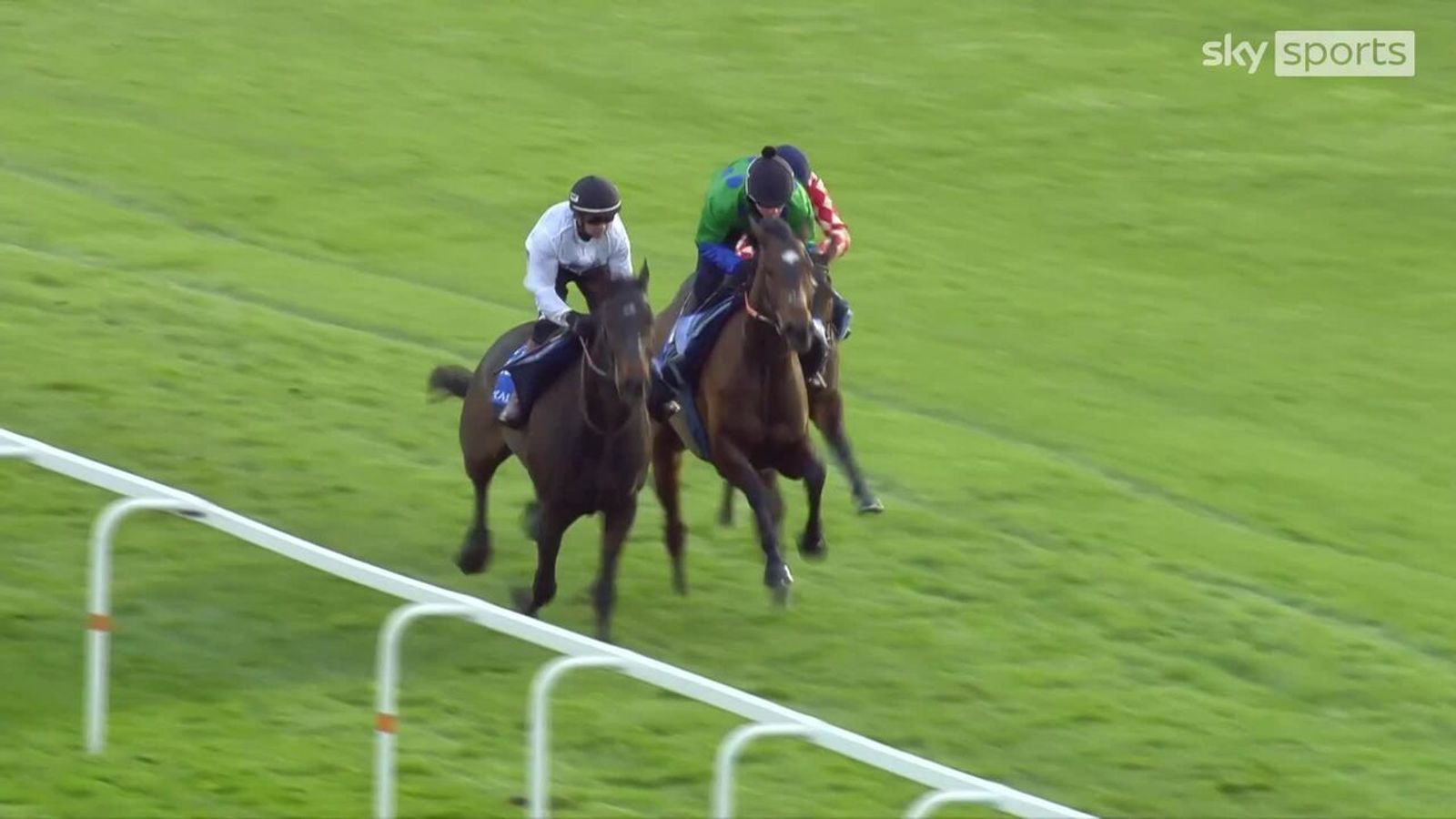 Constitution Hill breezes through Newbury gallop ahead of Fighting Fifth return at Newcastle