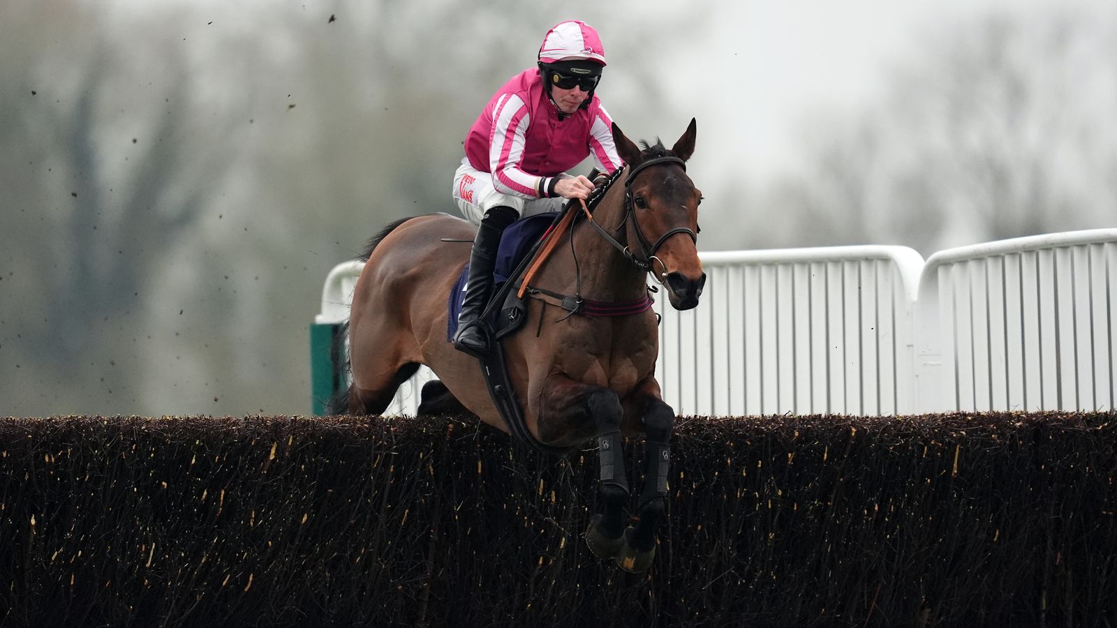 Newbury tips: Lowry's Bar fancied to outrun odds in Coral Gold Cup showdown