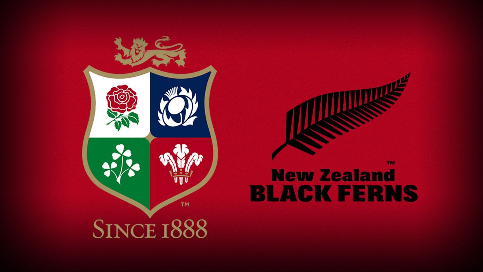British and Irish Lions warn involvement in R360 league will jeopardise selection for 2027 tour of New Zealand