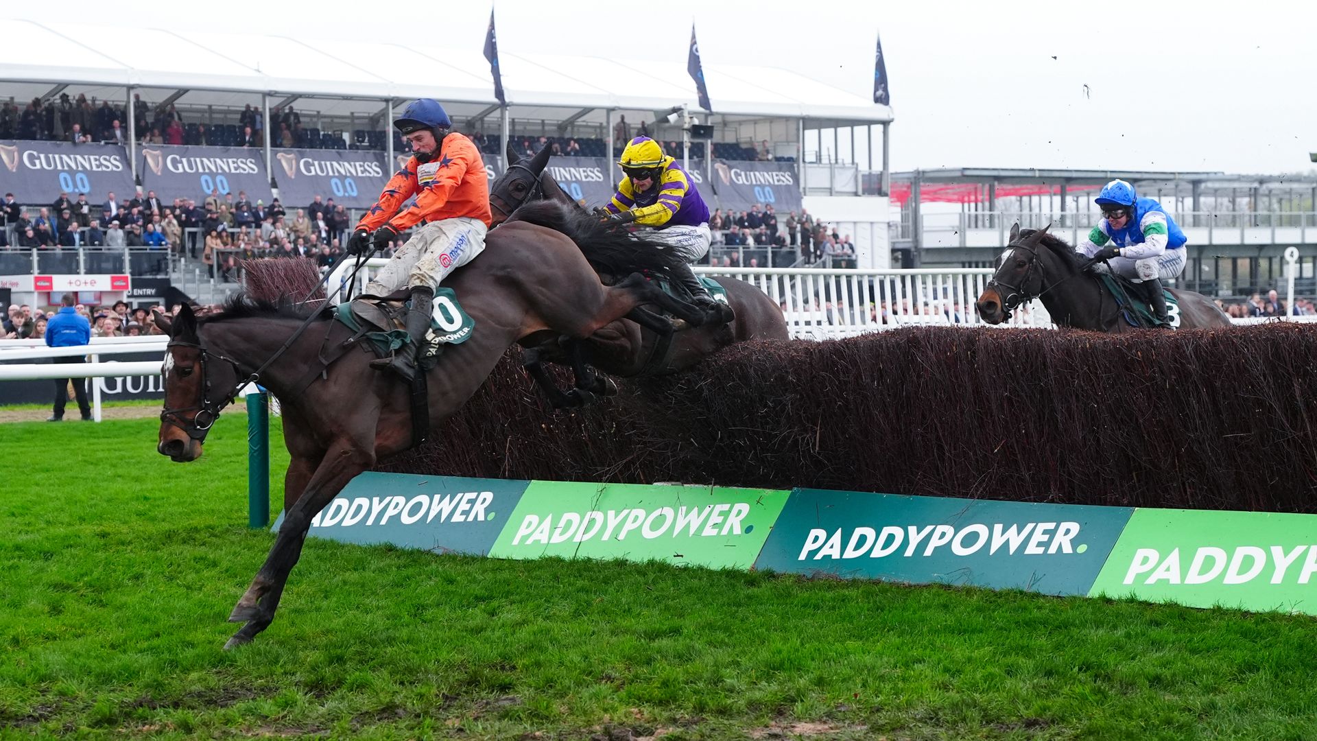 Panic Attack strikes gold for team Skelton at Cheltenham