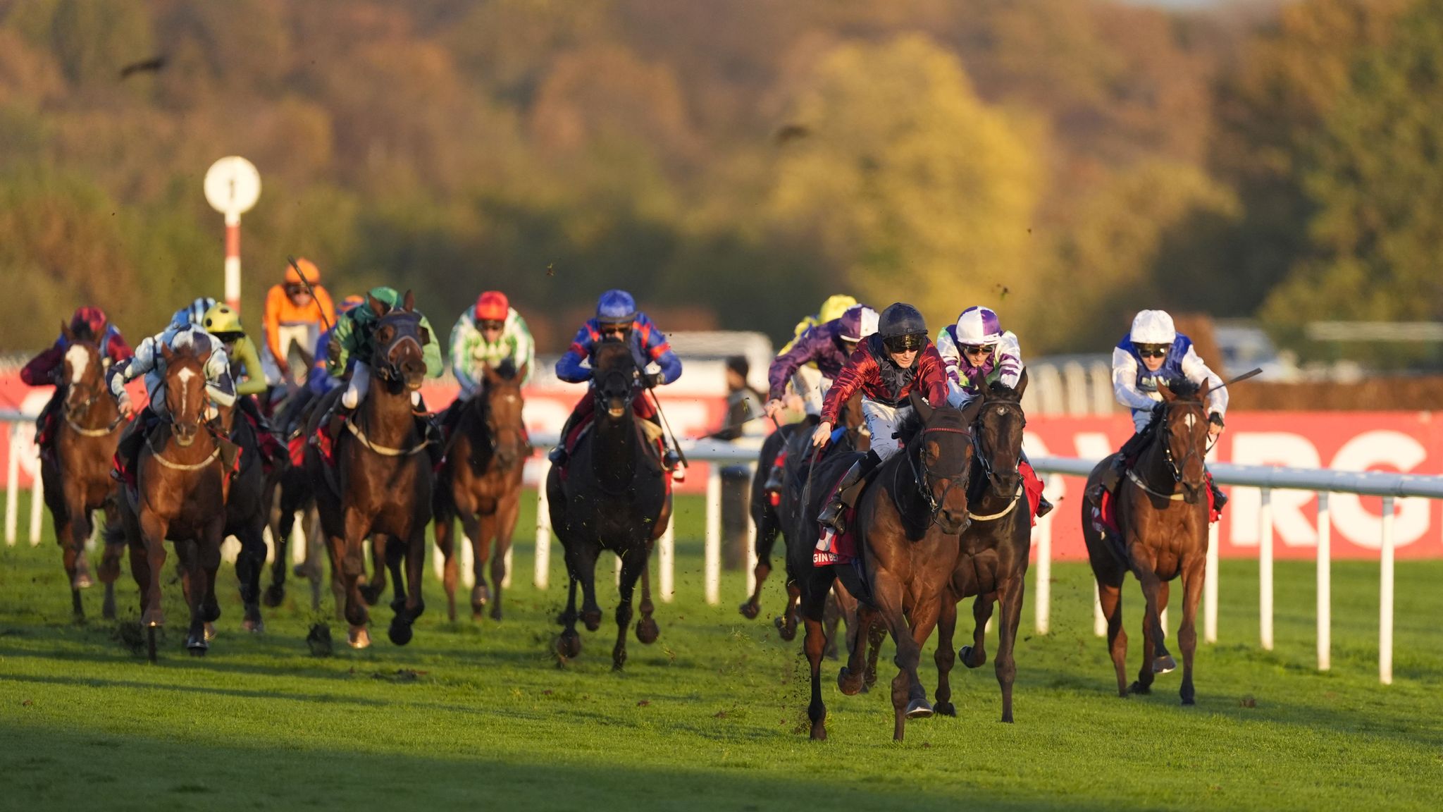 skysports.com - Today on Sky Sports Racing: Ascot and Doncaster feature live on Sunday
