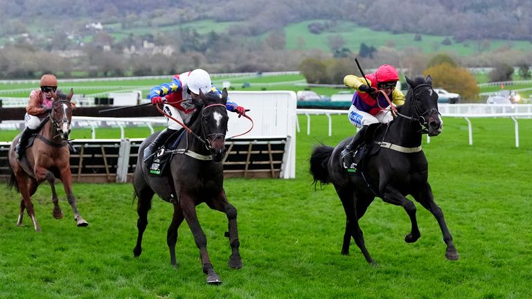 Alexei strikes in the Greatwood Handicap Hurdle at Cheltenham