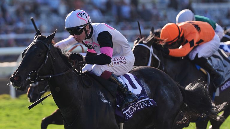 Oisin Murphy rides Balantina, left, to victory in the Breeders' Cup Juvenile Fillies Turf (AP Photo/Gregory Bull)