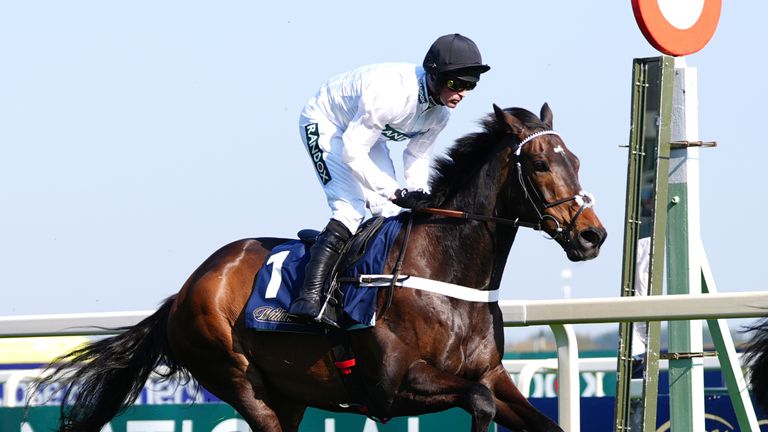 निको डी बोइनविले शनिवार को एक बार फिर कॉन्स्टिट्यूशन हिल की सवारी करेंगे