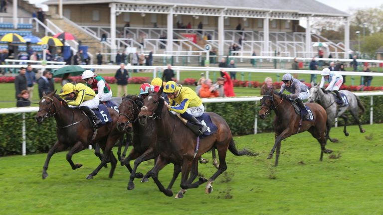 Doncaster hosts the November Handicap meeting on Saturday, all live on Sky Sports Racing