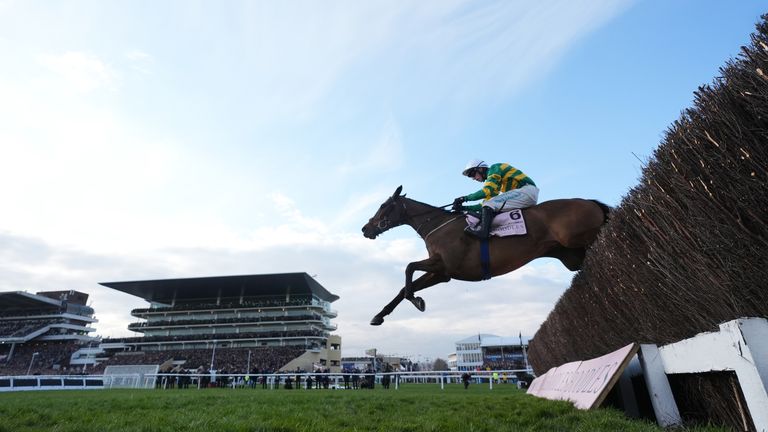 Inothewayurthinkin won the 2025 Cheltenham Gold Cup