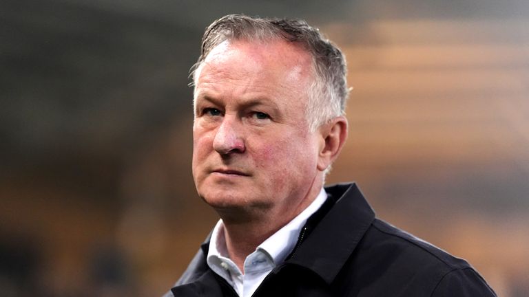 Northern Ireland manager Michael O'Neill believes Slovakia's winner should've been disallowed