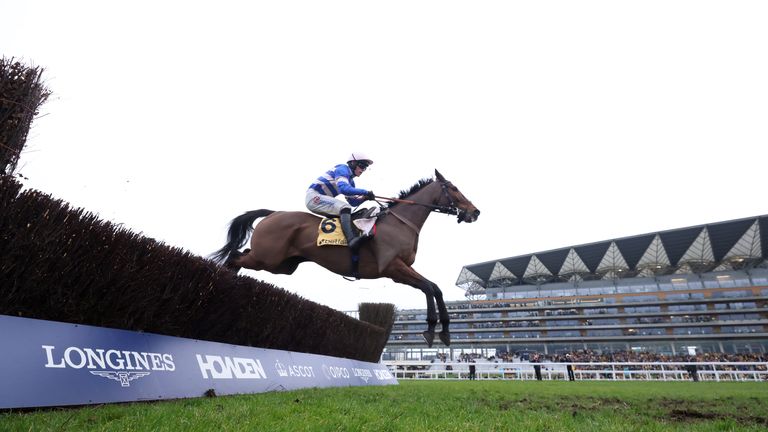 Pic D'orhy tem um histórico recente fantástico em Ascot