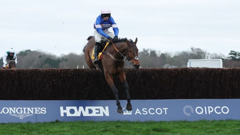 Pic D'orhy has shown a liking for Ascot in recent times