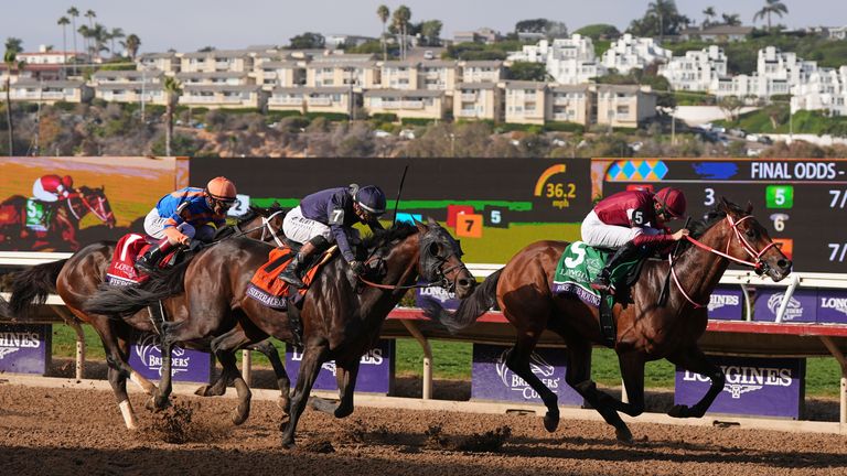 Forever Young wins the Breeders' Cup Classic under Ryusei Sakai (AP Photo/Gregory Bull)