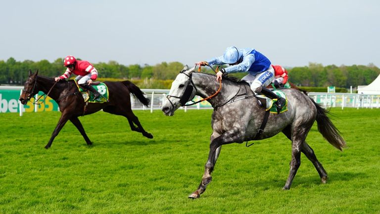 Resplendent Grey (near) is back in action today